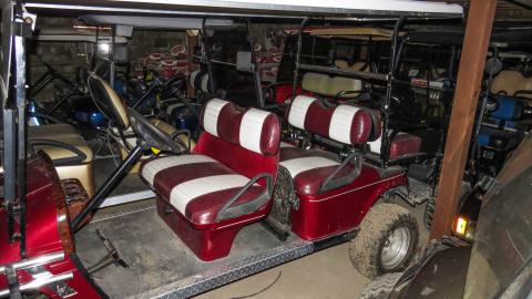 Golf Cart Poultry Farm - IMG_3807-2.jpg