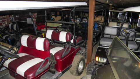 Golf Cart Poultry Farm - IMG_3808-2.jpg