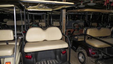 Golf Cart Poultry Farm - IMG_3810-2.jpg