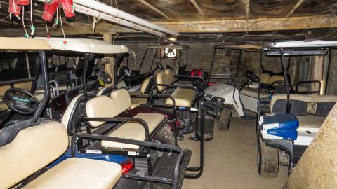Golf Cart Poultry Farm - IMG_3811-2.jpg