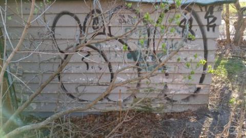 bricks - 438060542_2868274706695199_8723201557357587121_n.jpg