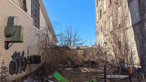 Photo from Mill's and Lab