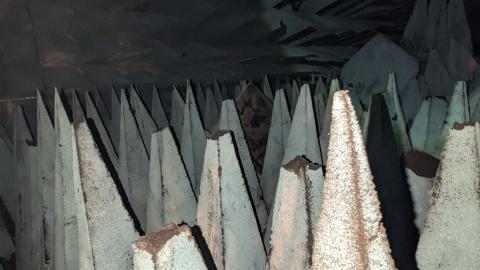 Mill's and Lab - PXL_20240329_180808570.jpg