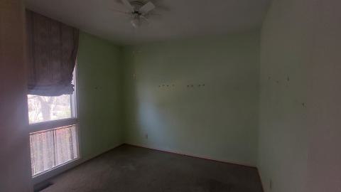 What the fuck is this place - 20240416_165324.jpg