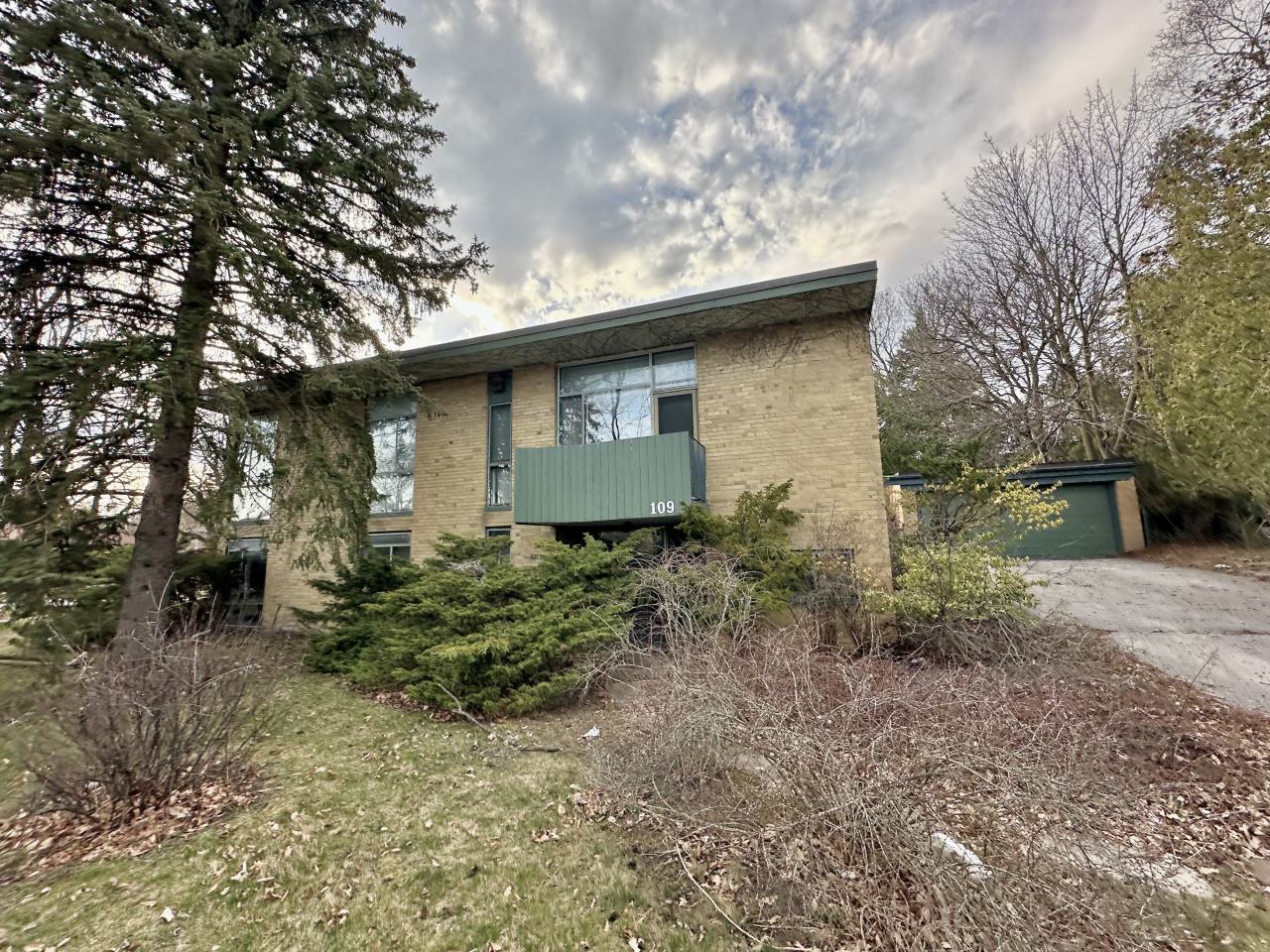 March 2024 - IMG_1964.jpeg