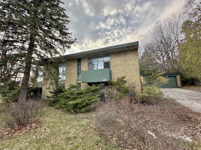 March 2024 - IMG_1964.jpeg