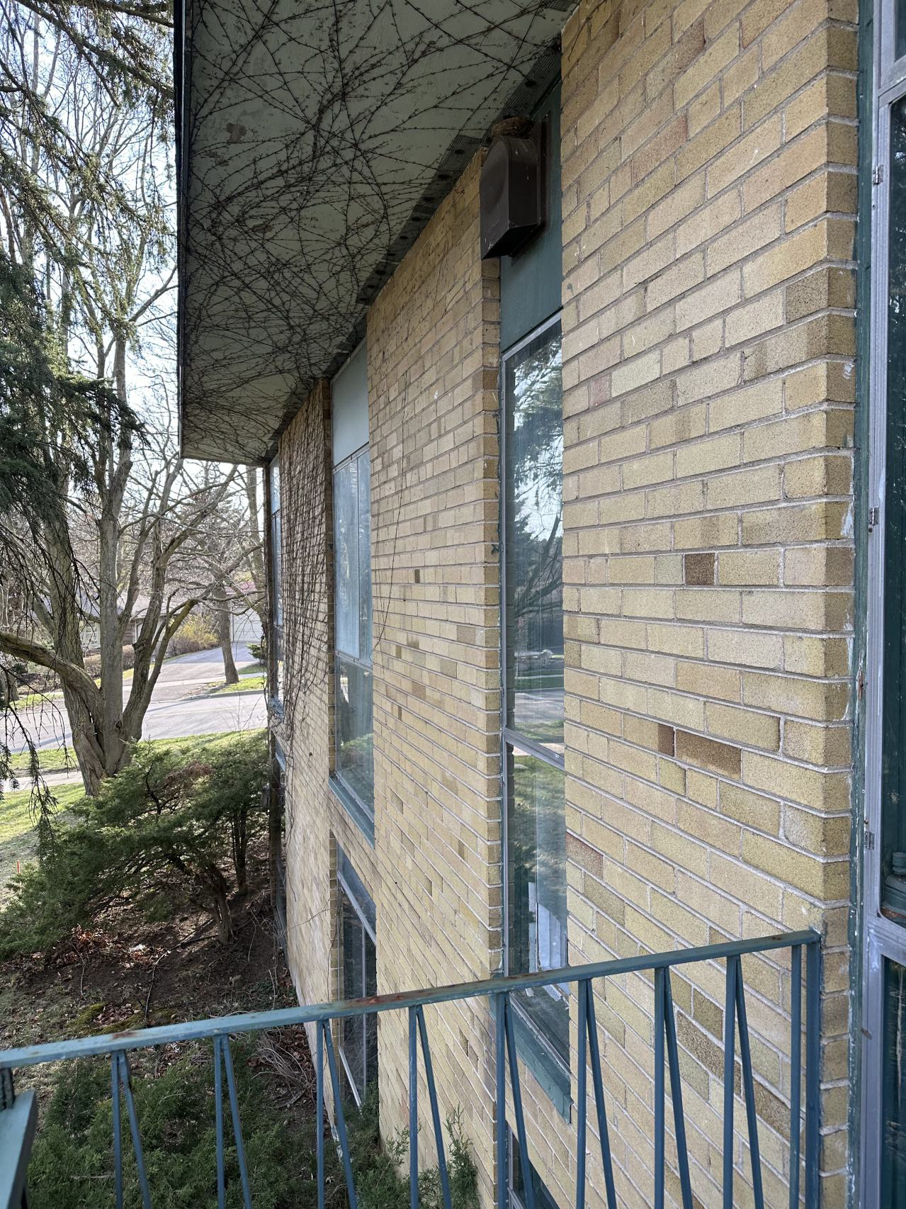 March 2024 - IMG_1911.jpeg