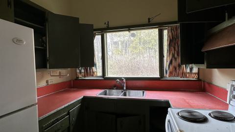 March 2024 - IMG_0935.jpeg