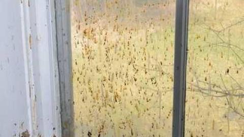 March 2012 - DSC_1445_01.1.jpg