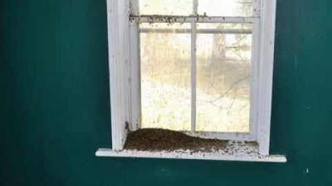 Photo from March 2012