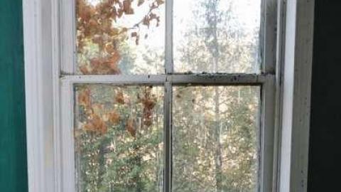 March 2012 - DSC_1446_01.2.jpg