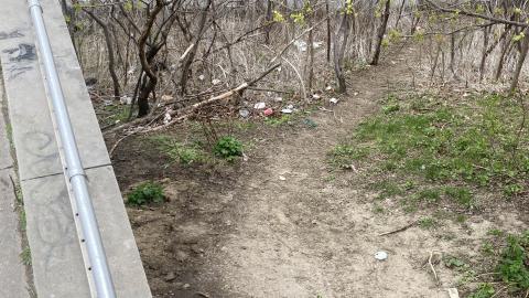 Chester Hill Hangout - IMG_1679.jpeg