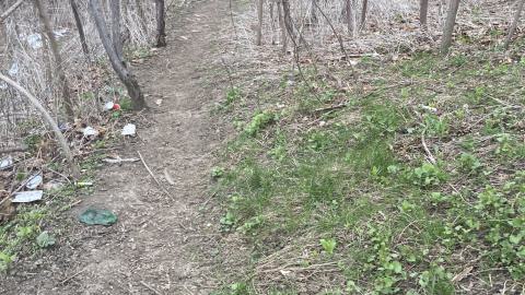 Chester Hill Hangout - IMG_1678.jpeg