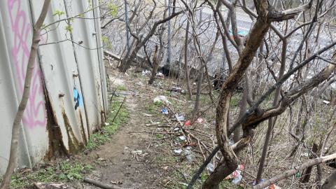 Chester Hill Hangout - IMG_1677.jpeg