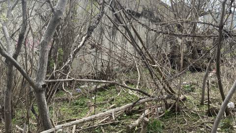 Chester Hill Hangout - IMG_1676.jpeg