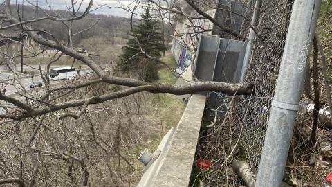 Chester Hill Hangout - IMG_1674.jpeg