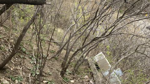 Chester Hill Hangout - IMG_1673.jpeg