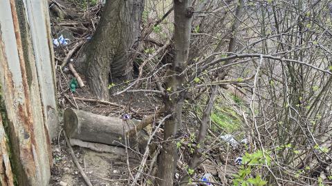 Chester Hill Hangout - IMG_1672.jpeg