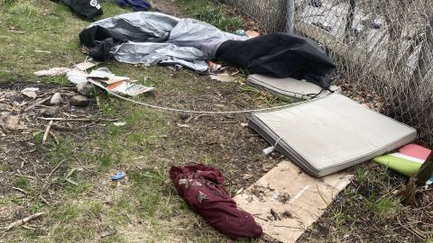 Chester Hill Hangout - IMG_1664.jpeg