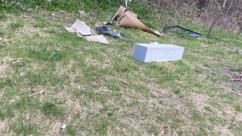 Chester Hill Hangout - IMG_1663.jpeg