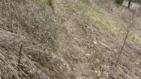 Chester Hill Hangout - IMG_1662.jpeg