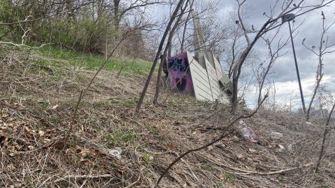 Chester Hill Hangout - IMG_1660.jpeg