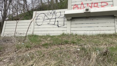 Chester Hill Hangout - IMG_1659.jpeg