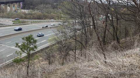 Chester Hill Hangout - IMG_1656.jpeg