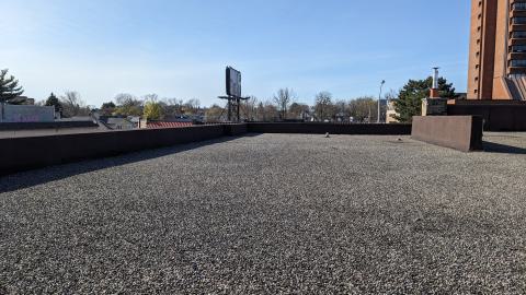 Up to the rooftops - PXL_20240426_213256352.jpg