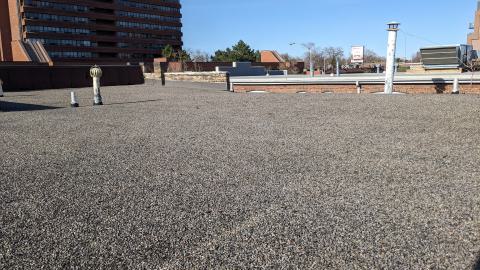 Photo from Up to the rooftops