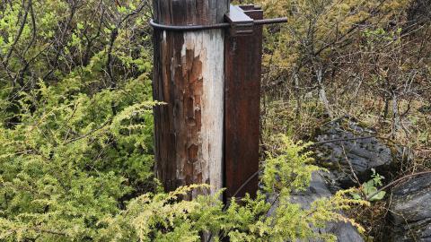 Marmora Mine 2024 - 20240427_160528.jpg