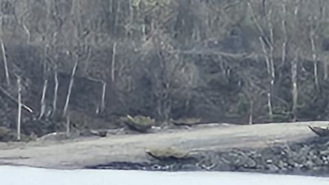 Marmora Mine 2024 - 20240427_160123.jpg