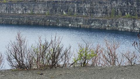 Marmora Mine 2024 - 20240427_155848.jpg