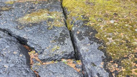 Marmora Mine 2024 - 20240427_155055.jpg