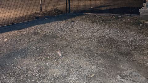 Runner Up - IMG_1630.jpeg