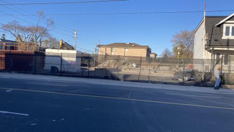 Runner Up - IMG_1738.jpeg