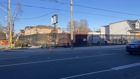 Runner Up - IMG_1739.jpeg