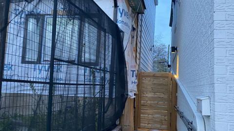 Runner Up - IMG_1768.jpeg