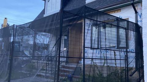 Runner Up - IMG_1769.jpeg