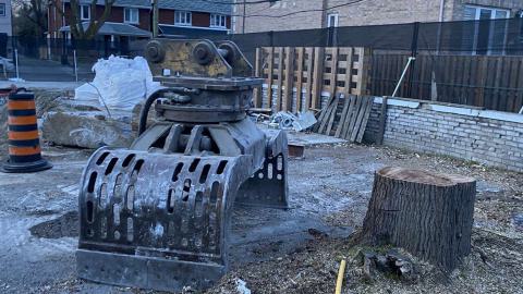 Runner Up - IMG_1773.jpeg