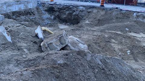 Runner Up - IMG_1776.jpeg