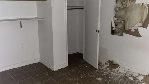 Runner Up - IMG_1784.jpeg