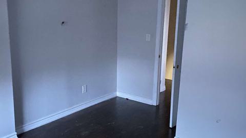 Runner Up - IMG_1793.jpeg