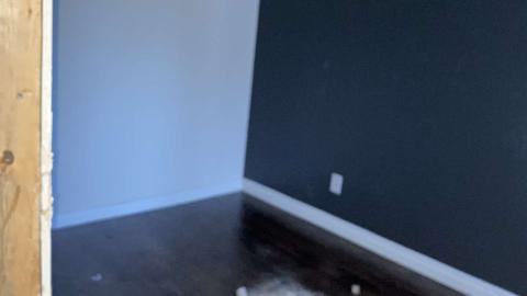 Runner Up - IMG_1797.jpeg