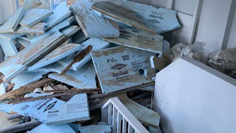 Runner Up - IMG_1807.jpeg