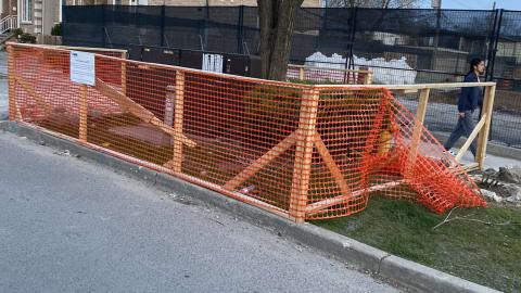 Runner Up - IMG_1812.jpeg