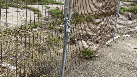 Photo from Flea Market