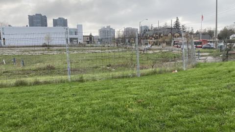 Flea Market - IMG_1912.jpeg