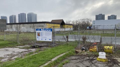 Flea Market - IMG_1911.jpeg