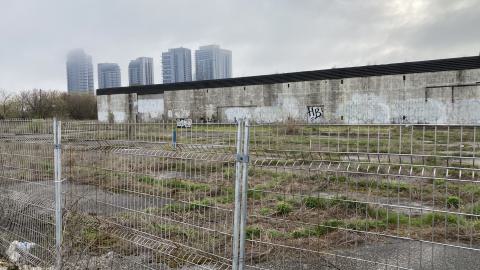 Flea Market - IMG_1910.jpeg